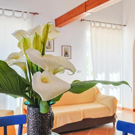Casa Villa